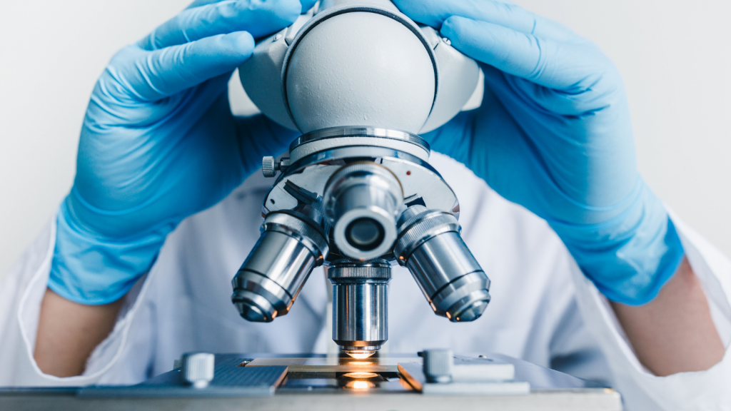 A sample is viewed under a microscope