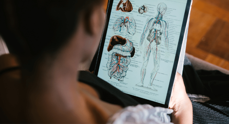 Woman looking at iPad studying anatomy