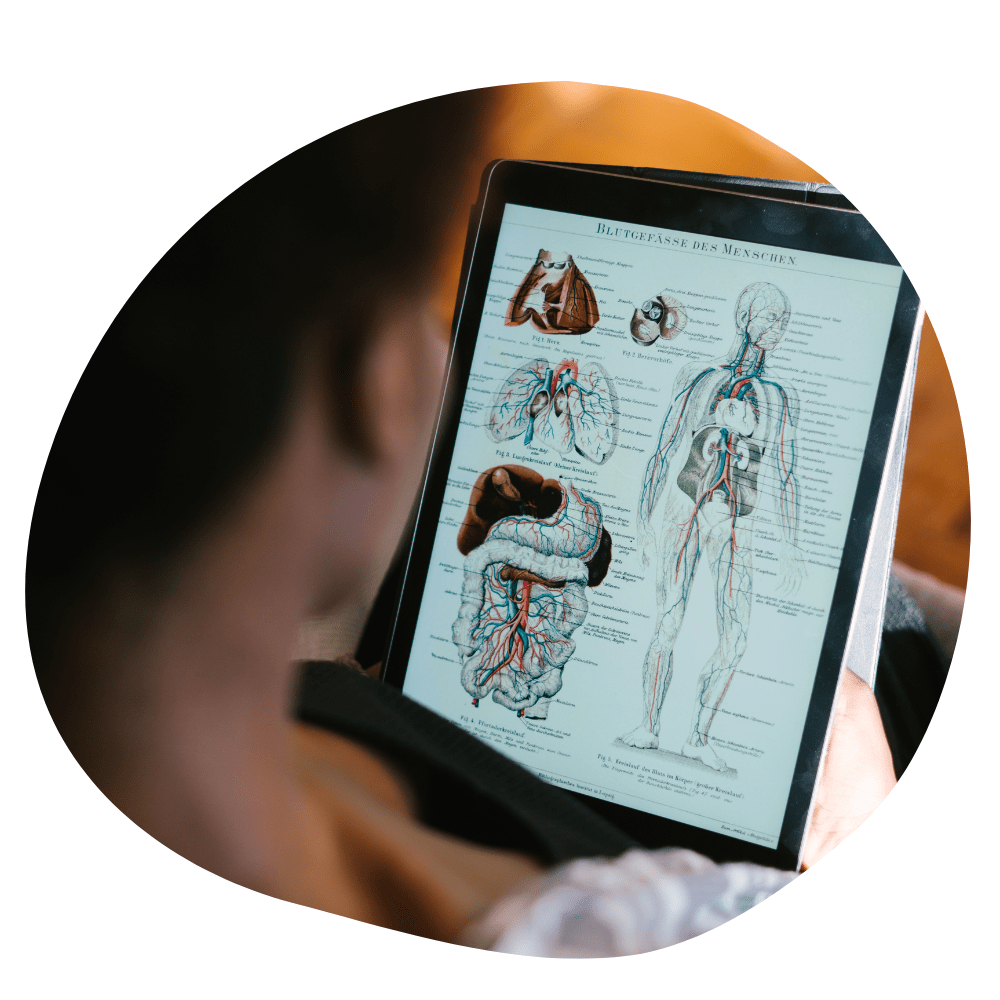 Woman looking at iPad studying anatomy