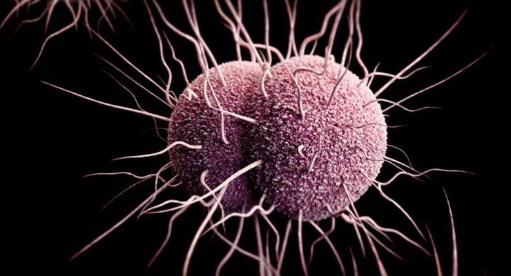 New drugs to treat gonorrhea