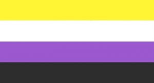 A gender non-binary flag