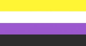 A gender non-binary flag
