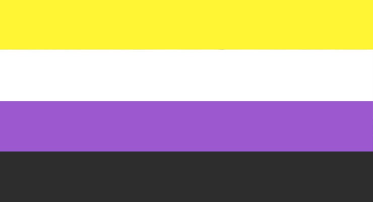 A gender non-binary flag