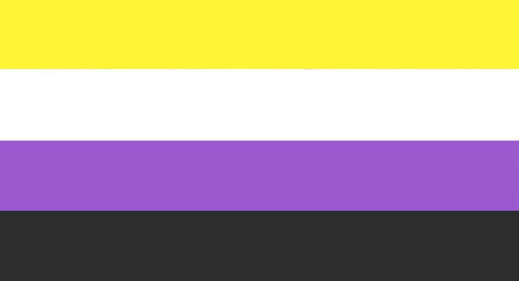 A gender non-binary flag