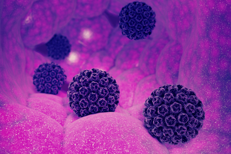 An image of HPV