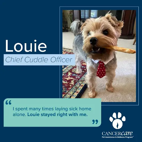 Louie, Chief Cuddle Officer