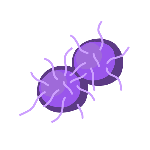Gonorrhea