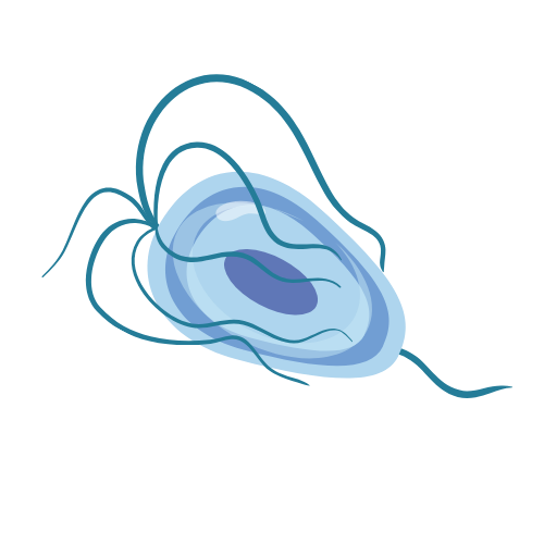 Trich