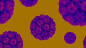 Human papillomavirus or HPV