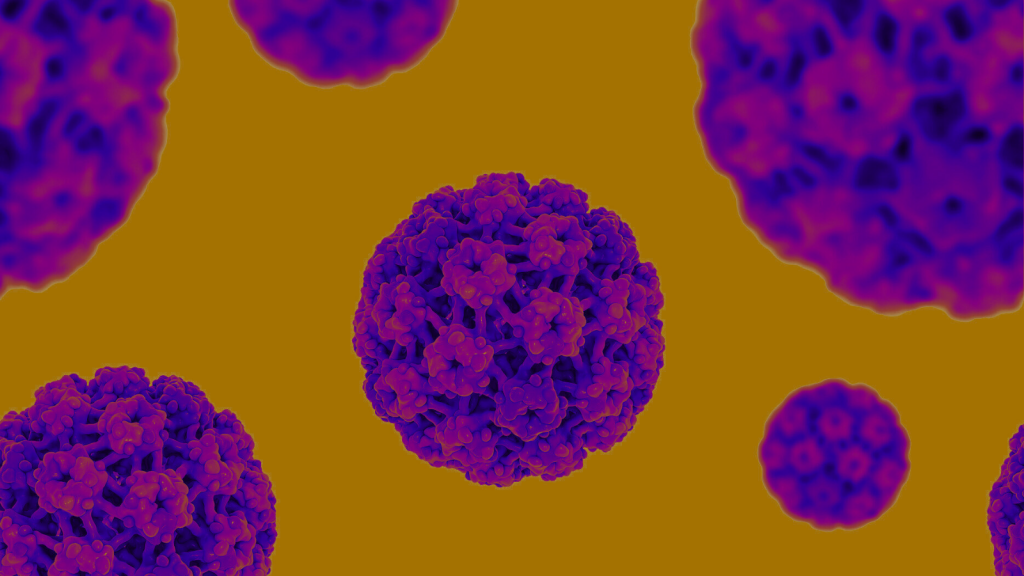 Human papillomavirus or HPV