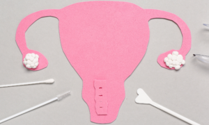 A uterus