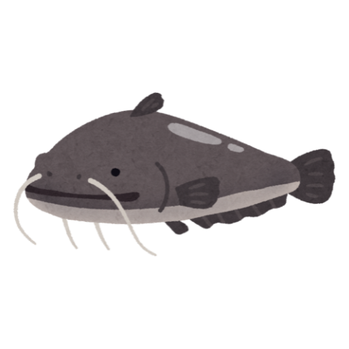A catfish