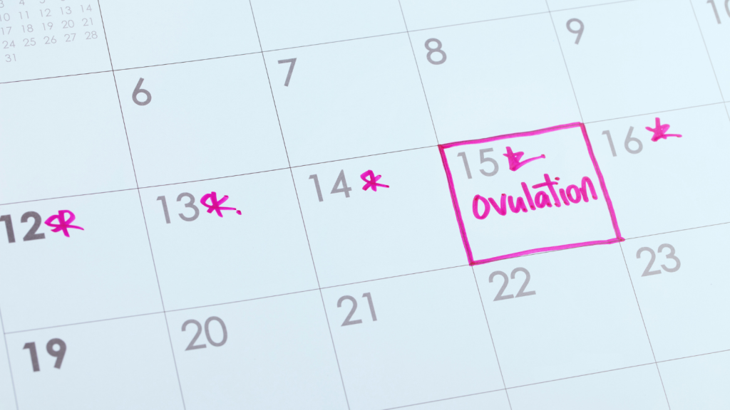 An image of a calendar noting ovulation