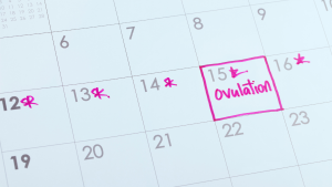 An image of a calendar noting ovulation