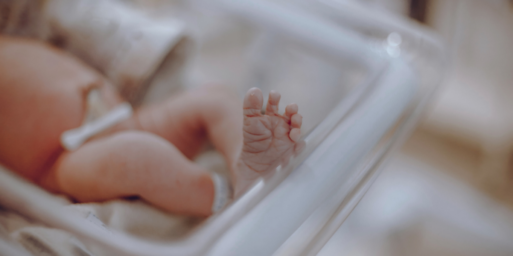 A newborn