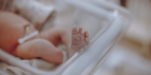 A newborn
