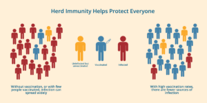 A visual representation of herd immunity