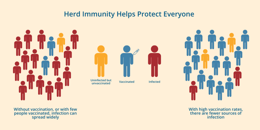 A visual representation of herd immunity
