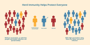 A visual representation of herd immunity