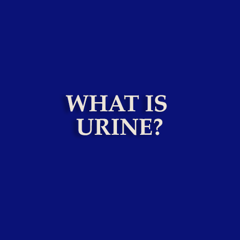 What is urine?