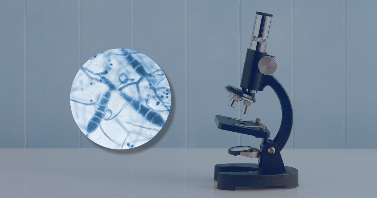 Diagnosing TMVII